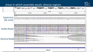 38
Areas	in	which	assembly	excels:	diverse	regions
AluY
Supernova
(de	novo)	
PacBio Reads
Illumina	Reads
 