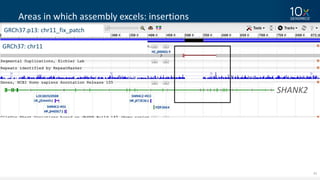 41
Areas	in	which	assembly	excels:	insertions
SHANK2
GRCh37:	chr11
GRCh37.p13:	chr11_fix_patch
 