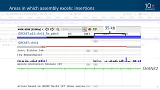 42
Areas	in	which	assembly	excels:	insertions
SHANK2
GRCh37:	chr11
GRCh37.p13:	chr11_fix_patch
35	kb	
 