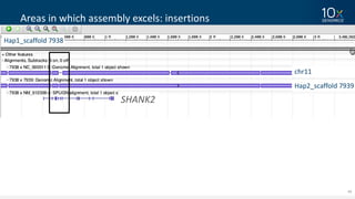 44
Areas	in	which	assembly	excels:	insertions
Hap1_scaffold	7938
Hap2_scaffold	7939
chr11
SHANK2
 