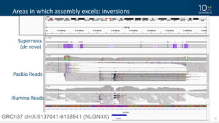 47
Areas	in	which	assembly	excels:	inversions	
GRCh37 chrX:6137041-6138541 (NLGN4X)
Supernova
(de	novo)	
PacBio Reads
Illumina	Reads
 