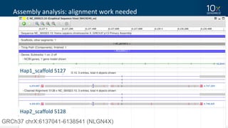48
Assembly	analysis:	alignment	work	needed
GRCh37 chrX:6137041-6138541 (NLGN4X)
Hap1_scaffold	5127
Hap2_scaffold	5128
 