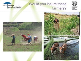 Would you insure these farmers?