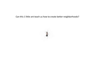 Can this 1 little ant teach us how to create better neighborhoods? 