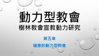 動力型教會
樹林教會宣教動力研究
第五章
健康的動力型教會
 