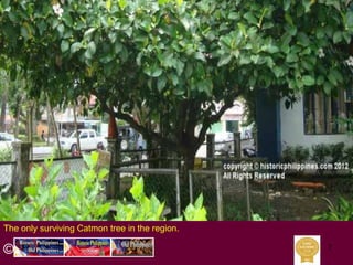The Church of Santa Barbara, Sta Barbara, Iloilo a special Church in ...