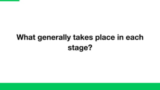 What generally takes place in each
stage?
 