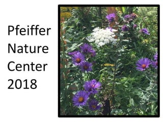 Pfeiffer
Nature
Center
2018
 