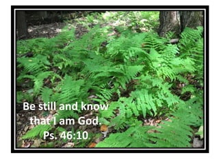 Be still and know
that I am God.
Ps. 46:10
 