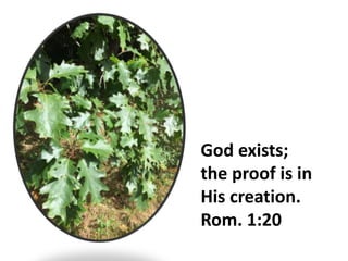 God exists;
the proof is in
His creation.
Rom. 1:20
 