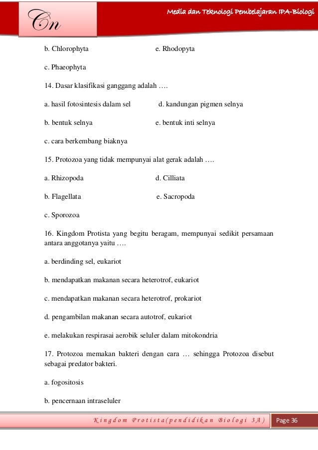 Chusna Novela 2