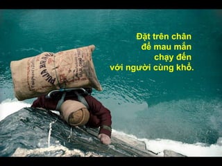 ??t trn ch?n  ?? mau m?n  ch?y ??n  v?i ng??i cng kh?. 