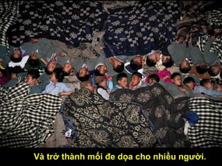 V tr? thnh m?i ?e d?a cho nhi?u ng??i. 