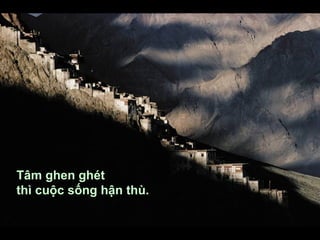 T?m ghen ght  th cu?c s?ng h?n th. 