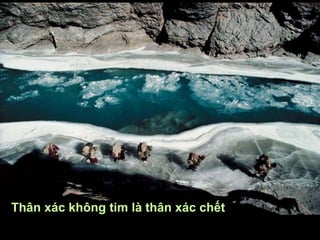 Thân xác không tim là thân xác chết
 