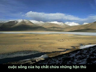 cuộc sống của họ chất chứa những hận thù
 