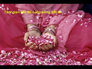 Tâm gian dối thì cuộc sống bất an.
 