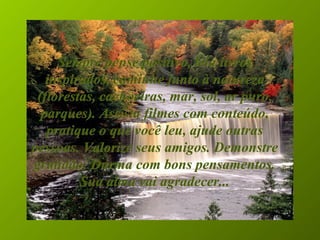 Sempre pense positivo, leia livros inspirados, caminhe junto à natureza (florestas, cachoeiras, mar, sol, ar puro, parques). Assista filmes com conteúdo, pratique o que você leu, ajude outras pessoas. Valorize seus amigos. Demonstre gratidão. Durma com bons pensamentos. Sua alma vai agradecer... 