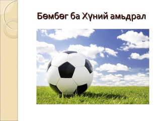 ББөөммббөөгг ббаа ХХүүнниийй ааммььддрраалл 
 