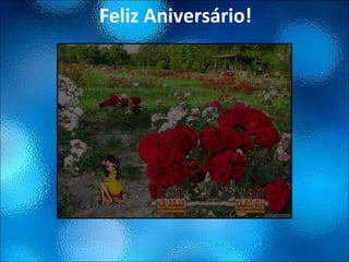 Feliz Aniversário! 
