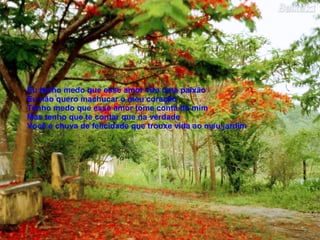 Eu tenho medo que esse amor vire uma paixão Eu não quero machucar o meu coração Tenho medo que esse amor tome conta de mim Mas tenho que te contar que na verdade Você é chuva de felicidade que trouxe vida ao meu jardim   