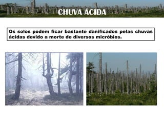 CHUVA ÁCIDA
Os solos podem ficar bastante danificados pelas chuvas
ácidas devido a morte de diversos micróbios.

 