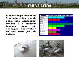 CHUVA ÁCIDA
A níveis de pH abaixo de
5, a maioria dos ovos de
peixe não conseguem
incubar e o plâncton
também
pode
não
conseguir desenvolverse com esse grau de
acidez.

 