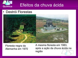 Efeitos da chuva ácida Destrói Florestas Floresta negra da Alemanha em 1970 A mesma floresta em 1983, após a ação da chuva ácida na região 