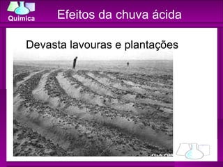 Efeitos da chuva ácida Devasta lavouras e plantações 