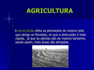 AGRICULTURA


A chuva ácida afeta as plantações do mesmo jeito
que atinge as florestas, só que a destruição é mais
rápida, já que as plantas são do mesmo tamanho,
sendo assim, mais áreas são atingidas.
 