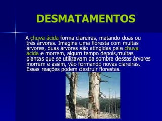 DESMATAMENTOS
A chuva ácida forma clareiras, matando duas ou
três árvores. Imagine uma floresta com muitas
árvores, duas árvores são atingidas pela chuva
ácida e morrem, algum tempo depois,muitas
plantas que se utilizavam da sombra dessas árvores
morrem e assim, vão formando novas clareiras.
Essas reações podem destruir florestas.
 