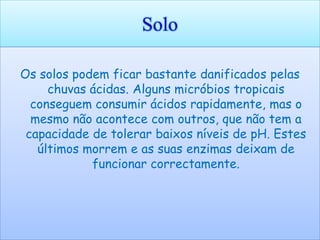Solo

Os solos podem ficar bastante danificados pelas
     chuvas ácidas. Alguns micróbios tropicais
  conseguem consumir ácidos rapidamente, mas o
  mesmo não acontece com outros, que não tem a
 capacidade de tolerar baixos níveis de pH. Estes
   últimos morrem e as suas enzimas deixam de
            funcionar correctamente.
 