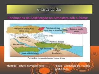 Chuvas ácidas

 Fenómenos de Acidificação na Atmosfera sob a forma:




“Húmida”- chuva,nevoeiro,neve   “seca”-deposição de matéria
                                particulada
 