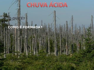 O QUE É?
COMO É FORMADA?
 