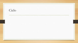 Ciclo
 