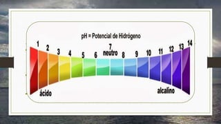 pH
• pH significa “potencial Hidrogeniônico”, uma escala logarítmica que mede o
grau de acidez, neutralidade ou alcalinidade de uma determinada solução
• A escala vai de 0 à 14, sendo que o 7 é considerado o valor neutro
• O valor 0 representa a acidez máxima e o valor 14 alcalinidade máxima
 