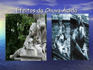 Efeitos da Chuva Ácida 