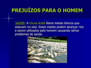 PREJUÍZOS PARA O HOMEM

 SAÚDE: A chuva ácida libera metais tóxicos que
 estavam no solo. Esses metais podem alcançar rios
 e serem utilizados pelo homem causando sérios
 problemas de saúde.
 