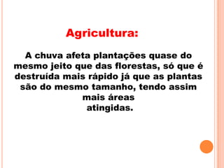 Agricultura:
  A chuva afeta plantações quase do
mesmo jeito que das florestas, só que é
destruída mais rápido já que as plantas
 são do mesmo tamanho, tendo assim
             mais áreas
              atingidas.
 