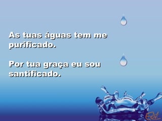 As tuas águas tem me purificado. Por tua graça eu sou santificado. 