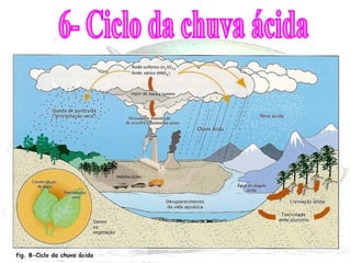 6- Ciclo da chuva ácida fig. 8-Ciclo da chuva ácida 