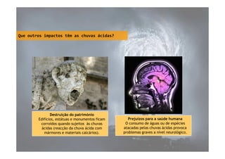 Que outros impactos têm as chuvas ácidas?

Destruição do património
Edifícios, estátuas e monumentos ficam
corroídos quando sujeitos às chuvas
ácidas (reacção da chuva ácida com
mármores e materiais calcários).

Prejuízos para a saúde humana
O consumo de águas ou de espécies
atacadas pelas chuvas ácidas provoca
problemas graves a nível neurológico.

 