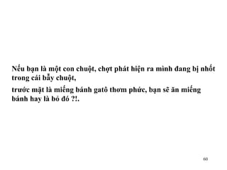 Nếu bạn là một con chuột, chợt phát hiện ra mình đang bị nhốt trong cái bẫy chuột, trước mặt là miếng bánh gatô thơm phức, bạn sẽ ăn miếng bánh hay là bỏ đó ?!. 