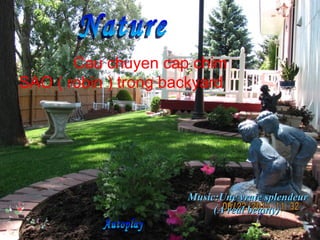 Nature Autoplay Music:Une   vraie splendeur   (A real beauty)   Cau chuyen cap chim SAO ( robin ) trong backyard 