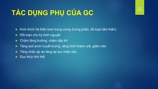  Kích thích hệ thần kinh trung ương (hưng phấn, rối loạn tâm thần)
 Rối loạn chu kỳ kinh nguyệt
 Chậm tăng trưởng, chậm dậy thì
 Tăng axit amin huyết tương, tăng hình thành urê, giảm nitơ
 Tăng nhãn áp do tăng áp lực nhãn cầu
 Đục thủy tinh thể
21
TÁC DỤNG PHỤ CỦA GC
 