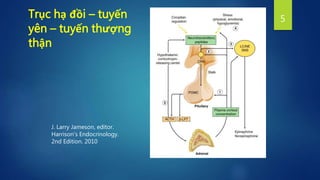 Trục hạ đồi – tuyến
yên – tuyến thượng
thận
J. Larry Jameson, editor.
Harrison’s Endocrinology.
2nd Edition. 2010
5
 