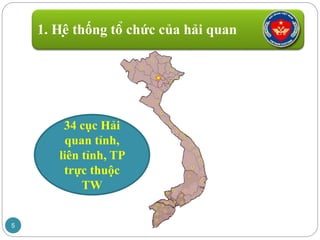 1. Hệ thống tổ chức của hải quan
5
34 cục Hải
quan tỉnh,
liên tỉnh, TP
trực thuộc
TW
 