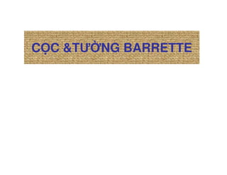 C C &TƯ NG BARRETTE
 