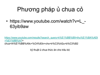 Chuyen de u xanh thuc an du tru cho trau bo.ppt