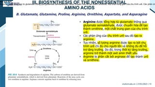 III. BIOSYNTHESIS OF THE NONESSENTIAL
AMINO ACIDS
B. Glutamate, Glutamine, Proline, Arginine, Ornithine, Aspartate, and As...